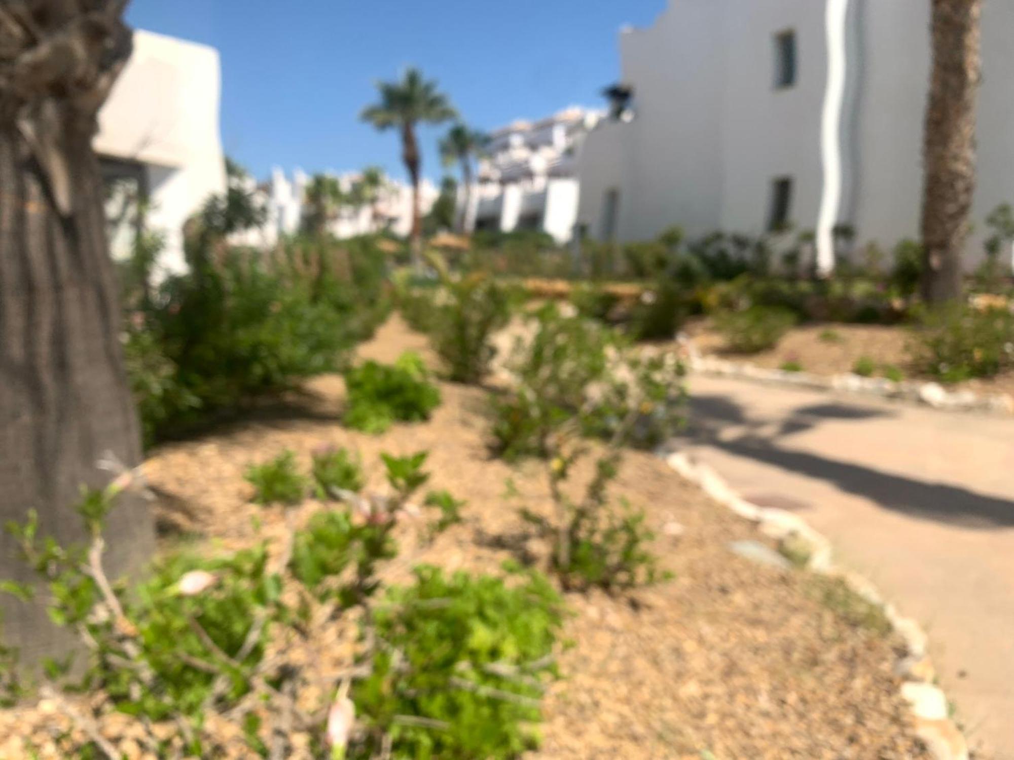 Apartamento Las Salinas 1389 Vera Eksteriør bilde